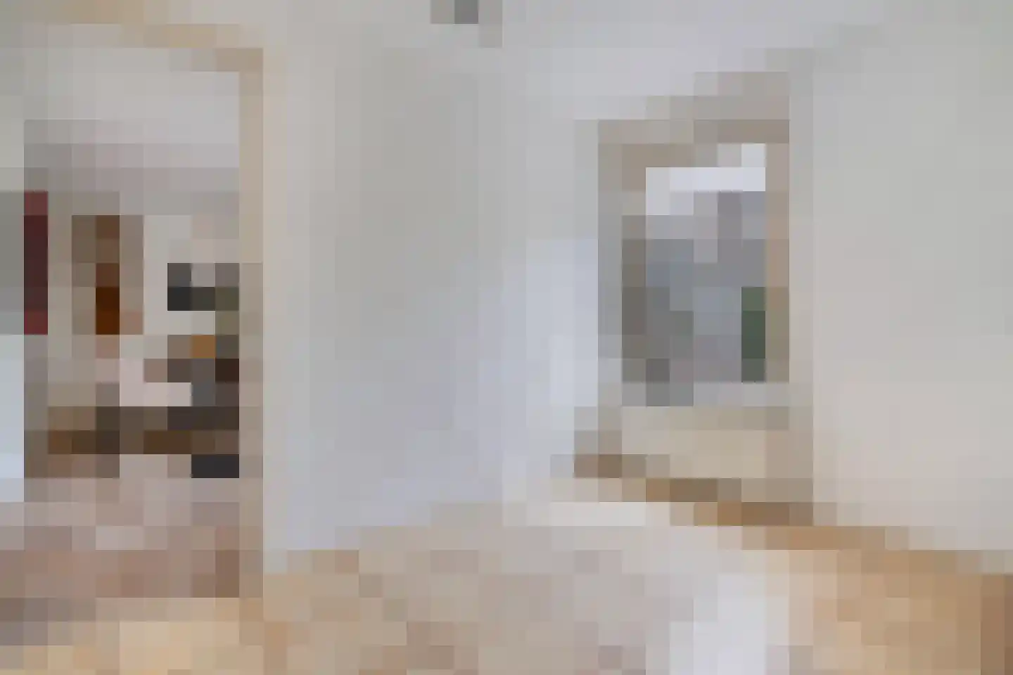 van Emstplein 41 Appelscha thumbnail 24