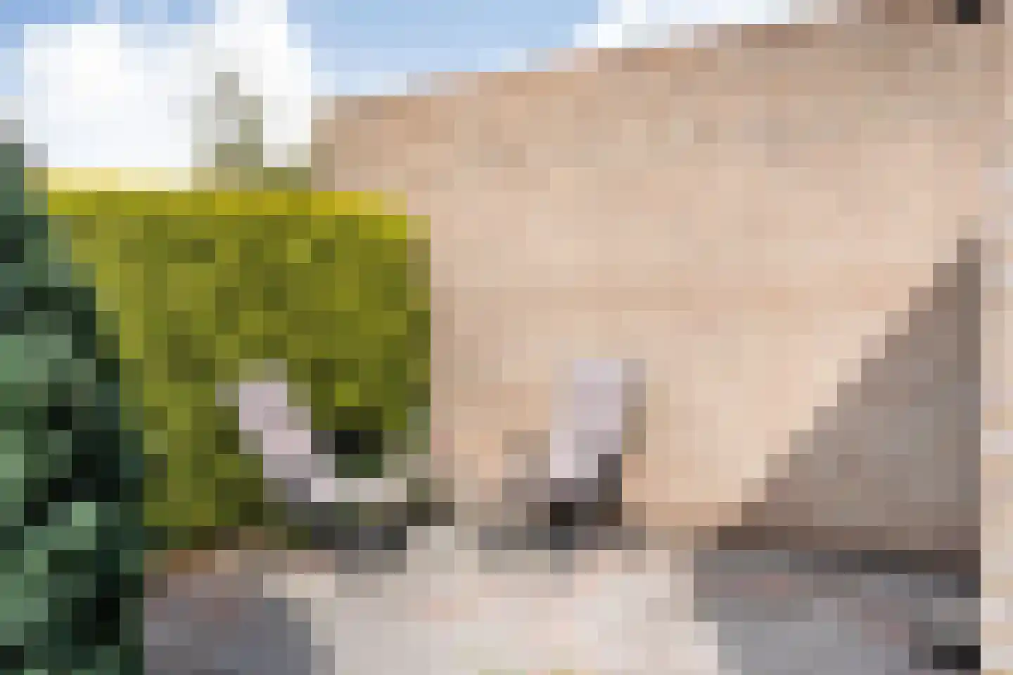 van Emstplein 41 Appelscha thumbnail 26