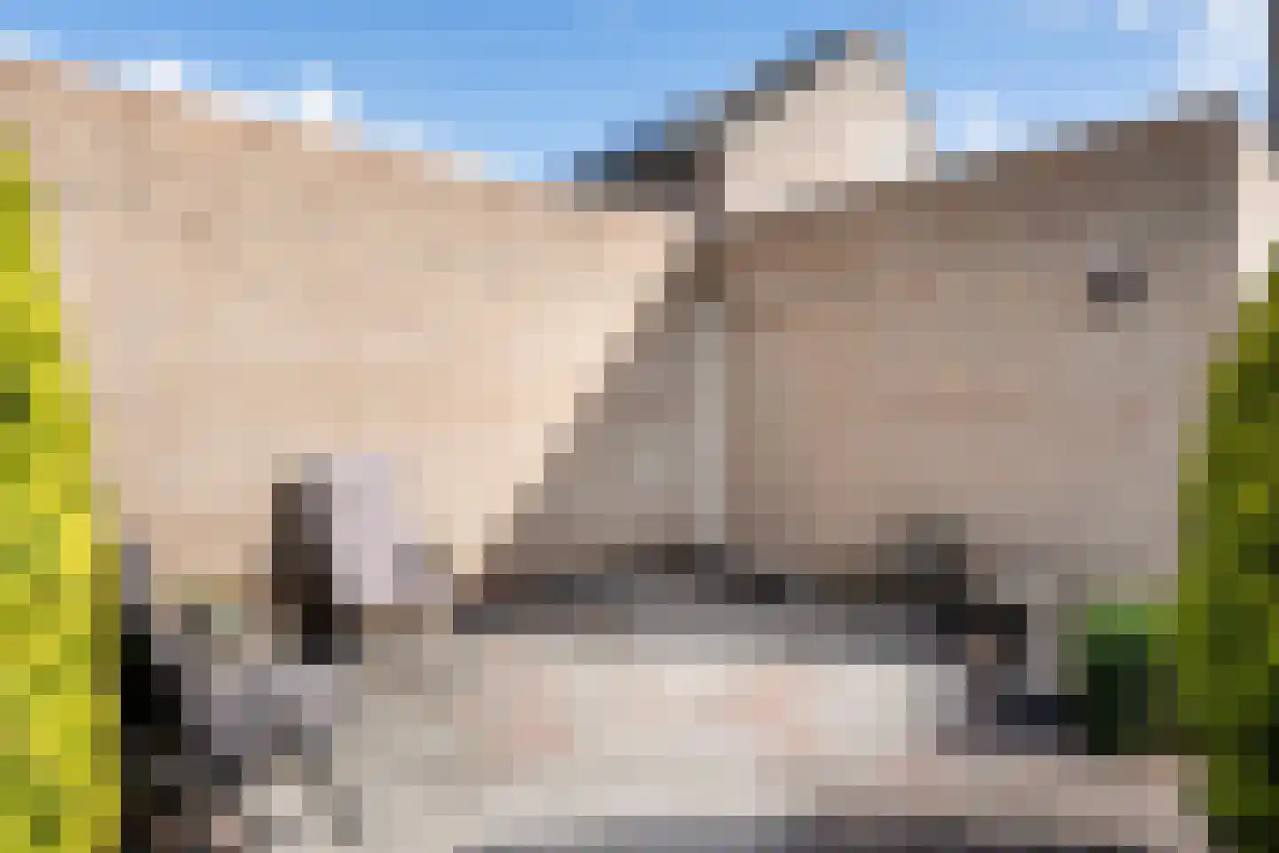 van Emstplein 41 Appelscha thumbnail 27