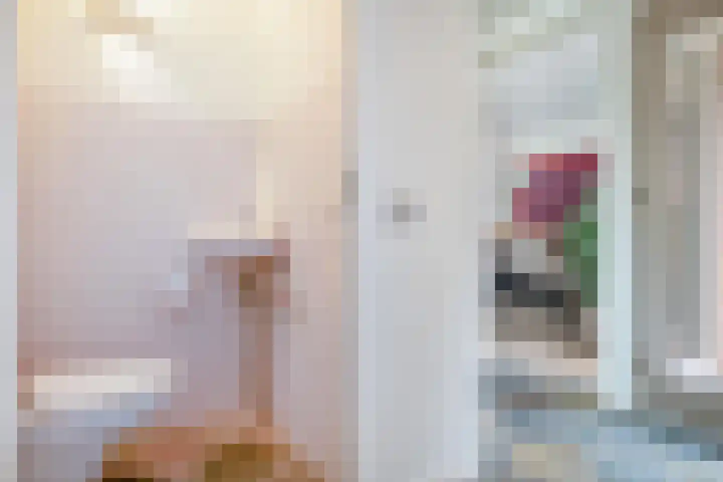 van Emstplein 41 Appelscha thumbnail 28