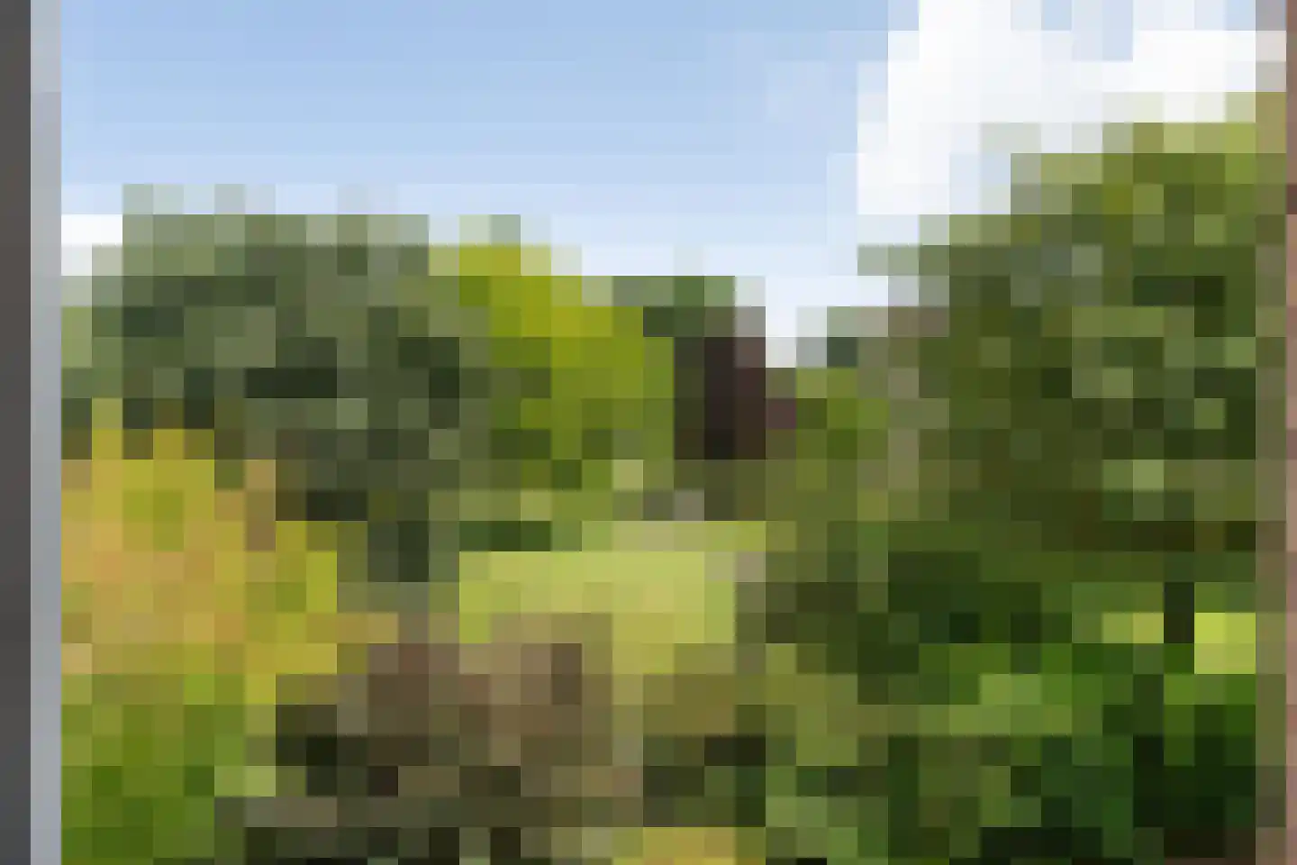 van Emstplein 41 Appelscha thumbnail 33