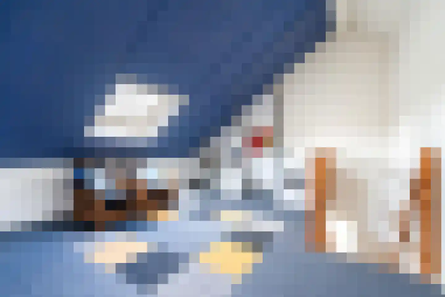 van Emstplein 41 Appelscha thumbnail 38