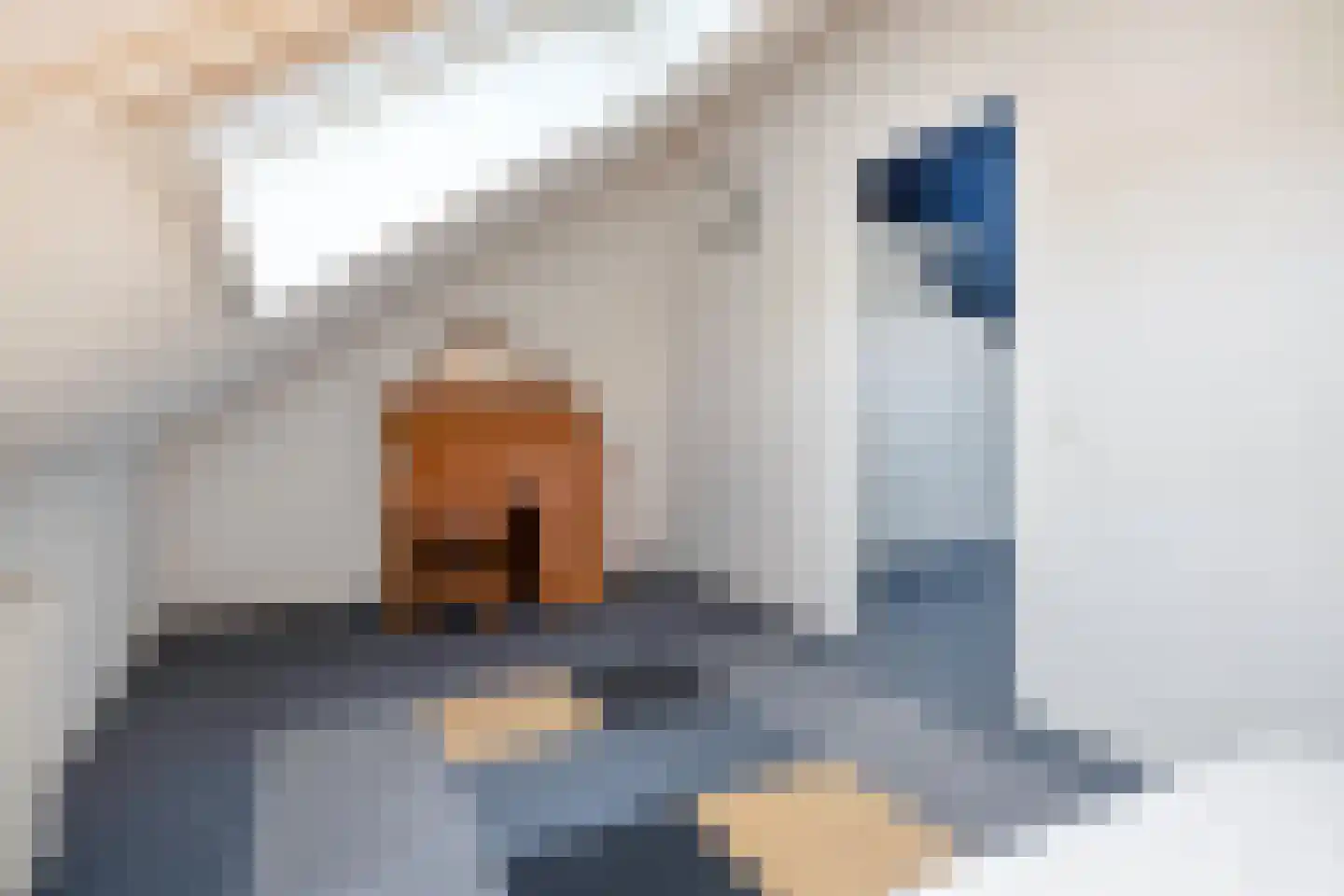 van Emstplein 41 Appelscha thumbnail 41