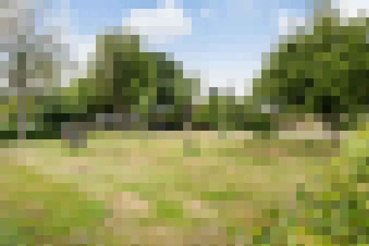 van Emstplein 41 Appelscha thumbnail 46