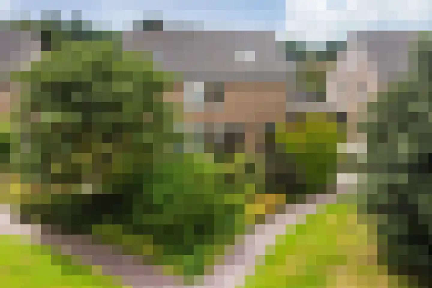 van Emstplein 41 Appelscha thumbnail 5