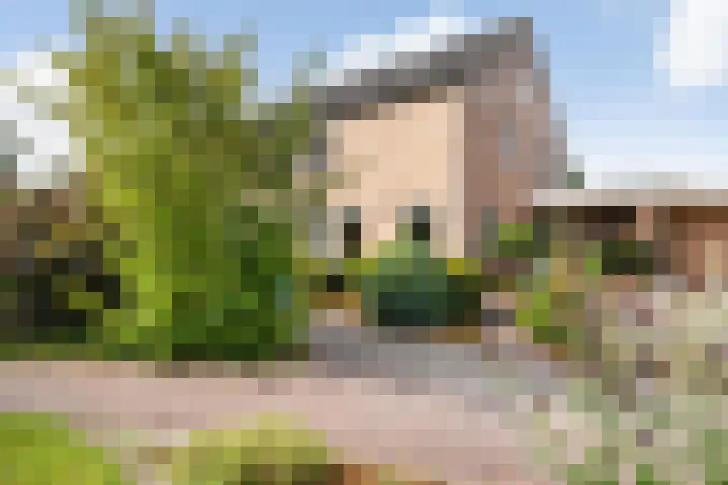 van Emstplein 41 Appelscha thumbnail 6