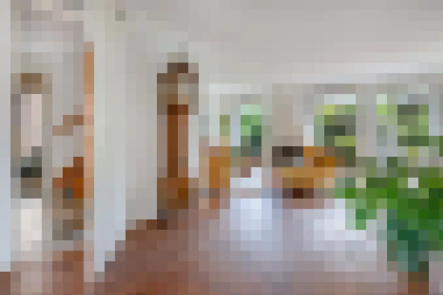 van Emstplein 41 Appelscha thumbnail 8