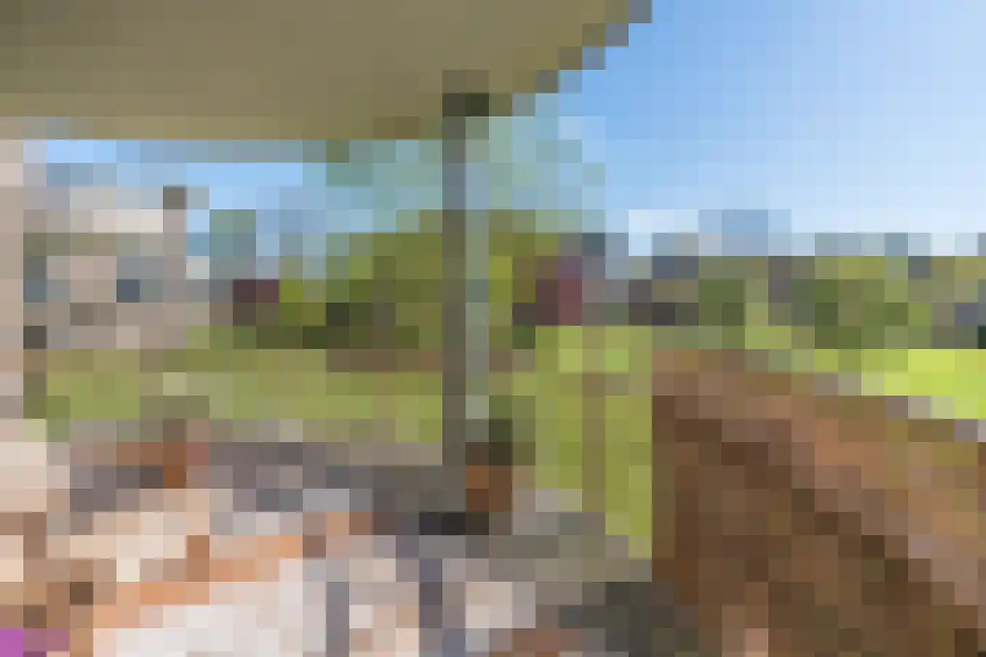 van Emstplein 45 Appelscha thumbnail 20