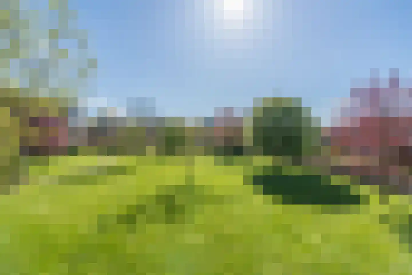 van Emstplein 45 Appelscha thumbnail 22