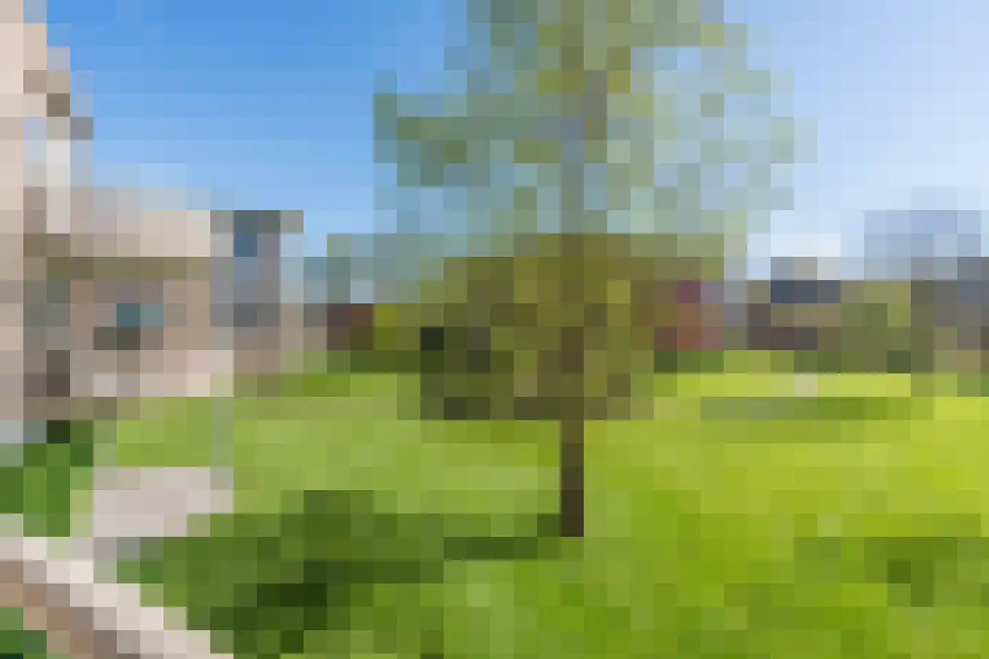 van Emstplein 45 Appelscha thumbnail 37