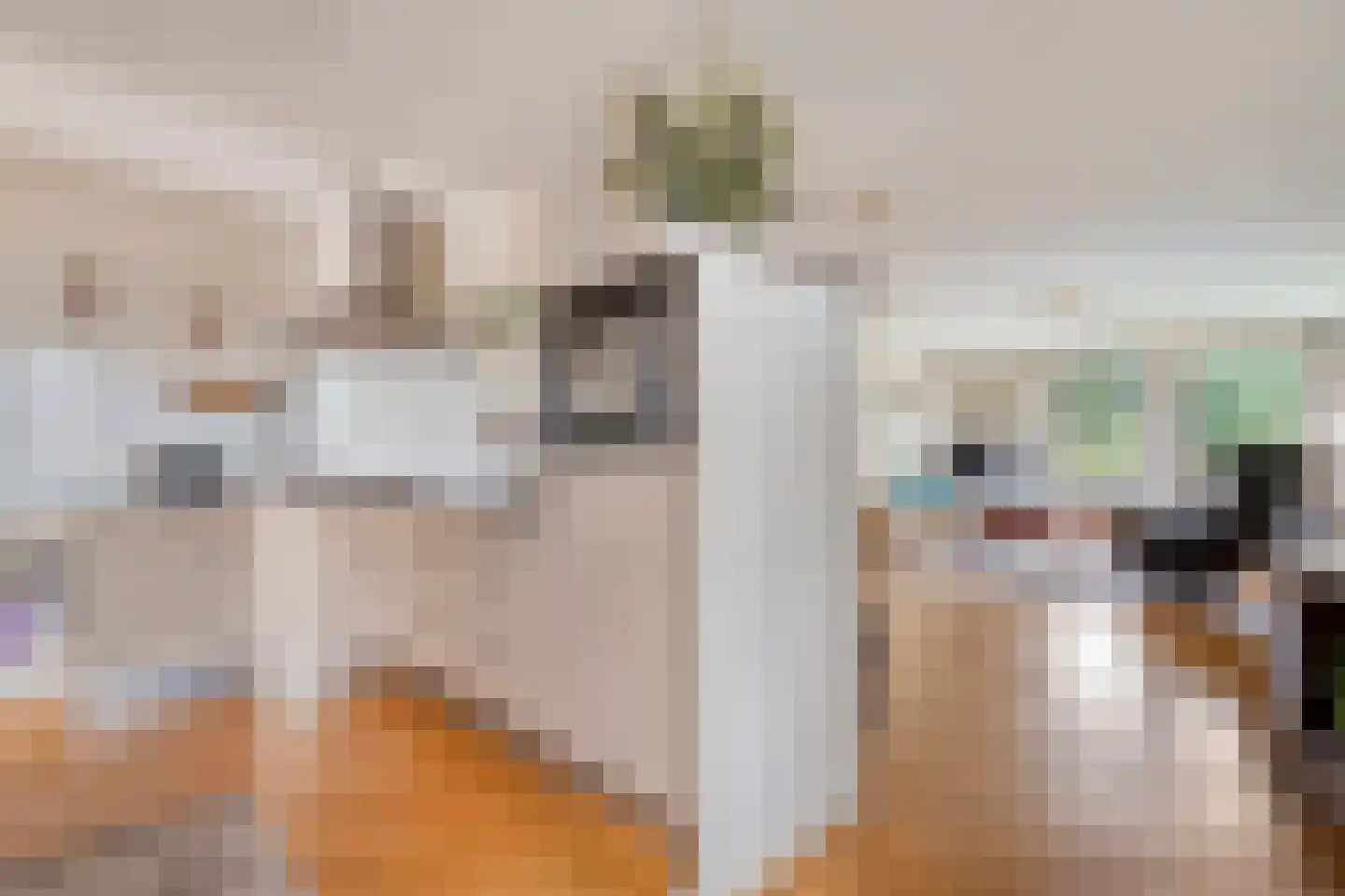 van Emstplein 59 Appelscha thumbnail 16