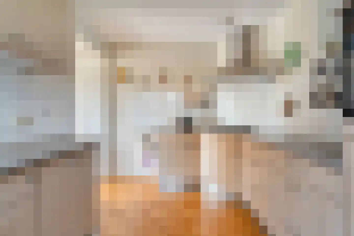 van Emstplein 59 Appelscha thumbnail 18