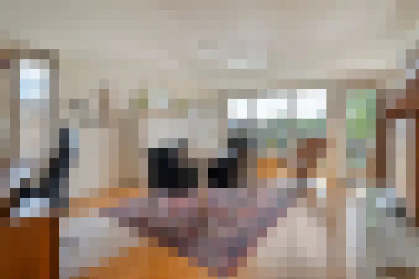 van Emstplein 59 Appelscha thumbnail 19