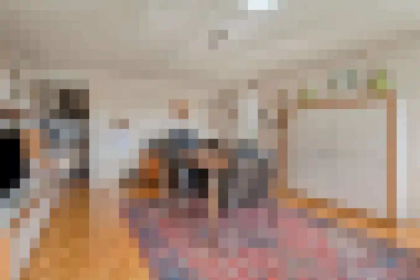van Emstplein 59 Appelscha thumbnail 20