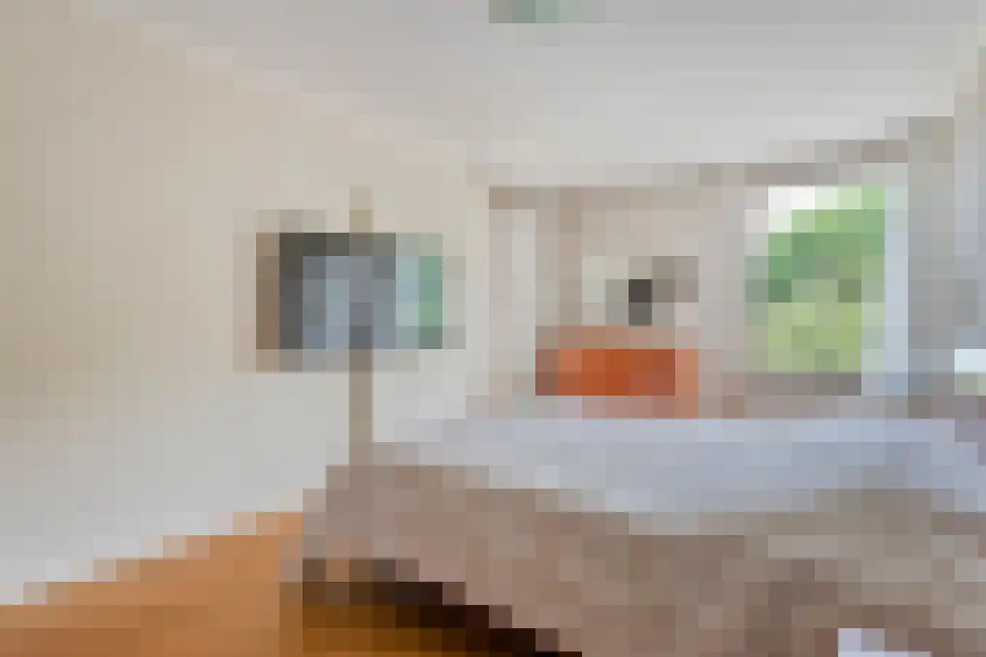 van Emstplein 59 Appelscha thumbnail 25