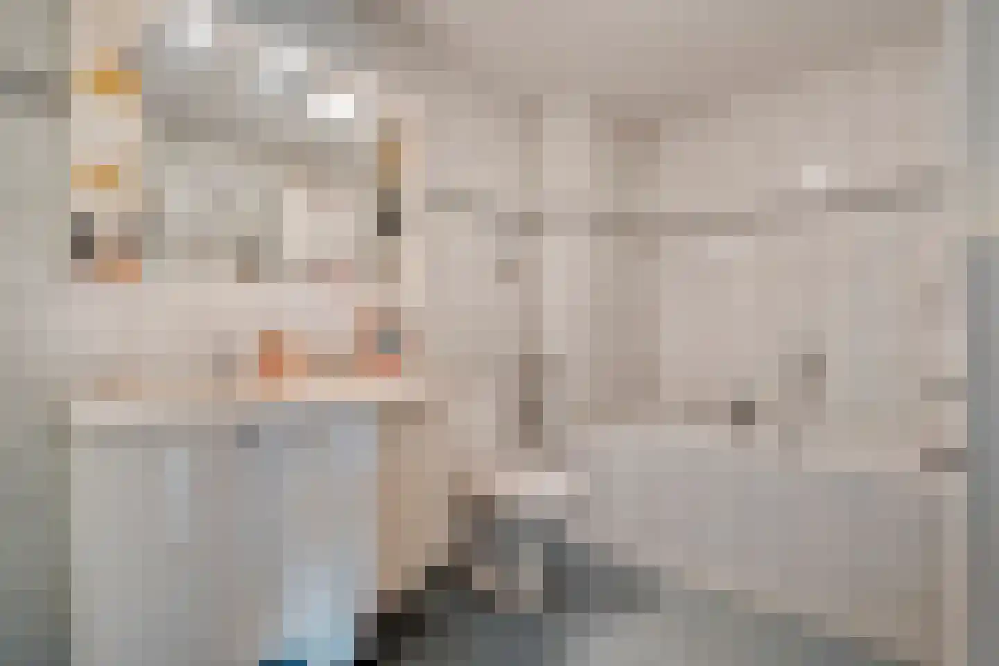 van Emstplein 59 Appelscha thumbnail 27