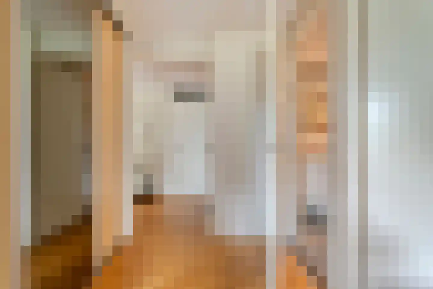 van Emstplein 59 Appelscha thumbnail 32