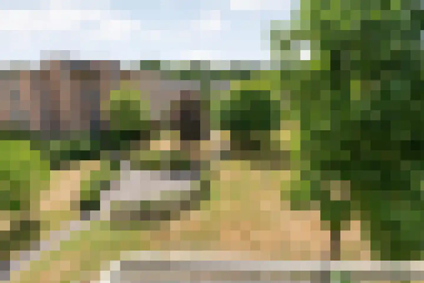 van Emstplein 59 Appelscha thumbnail 43