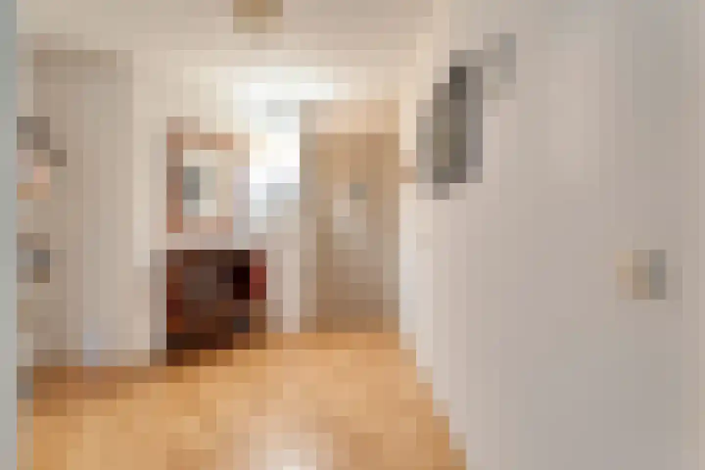 van Emstplein 59 Appelscha thumbnail 5