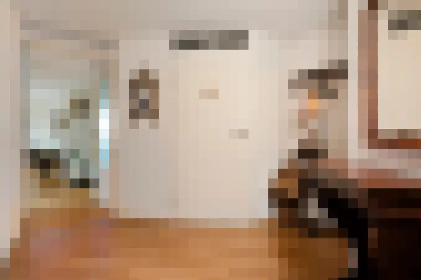 van Emstplein 59 Appelscha thumbnail 6