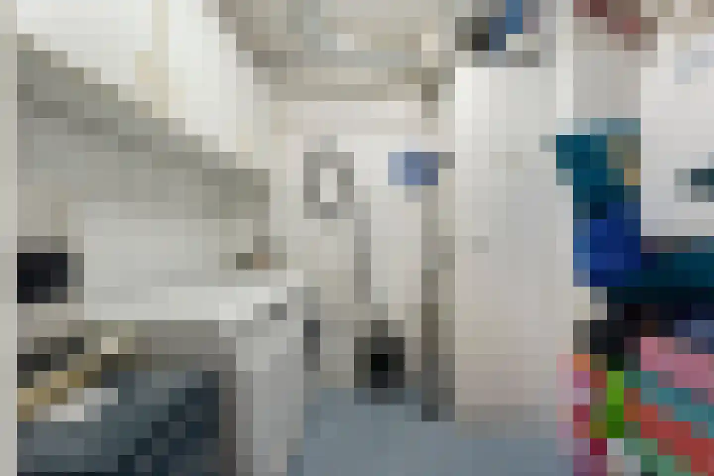 van Emstplein 59 Appelscha thumbnail 9
