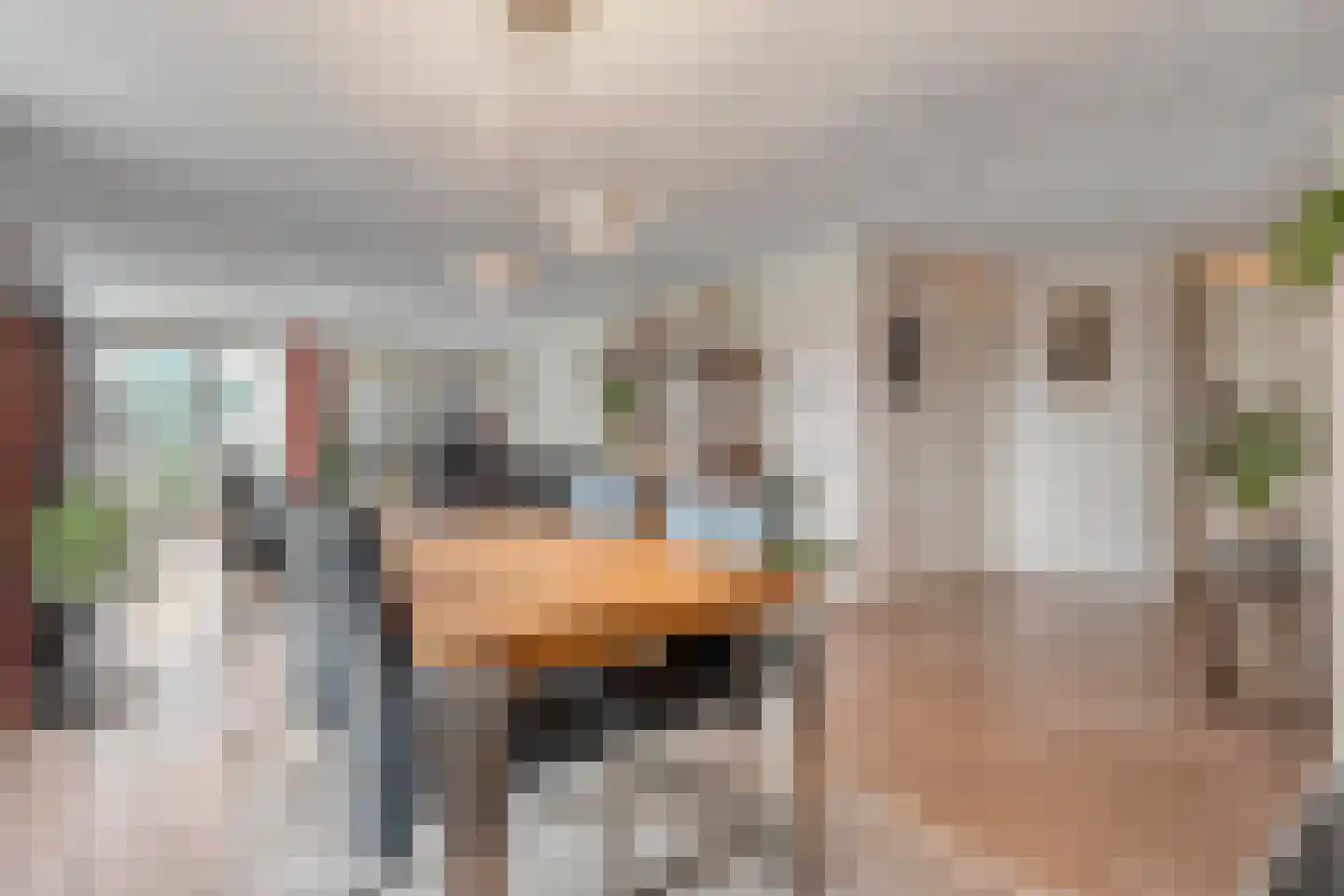 van Emstplein 9 Appelscha thumbnail 11
