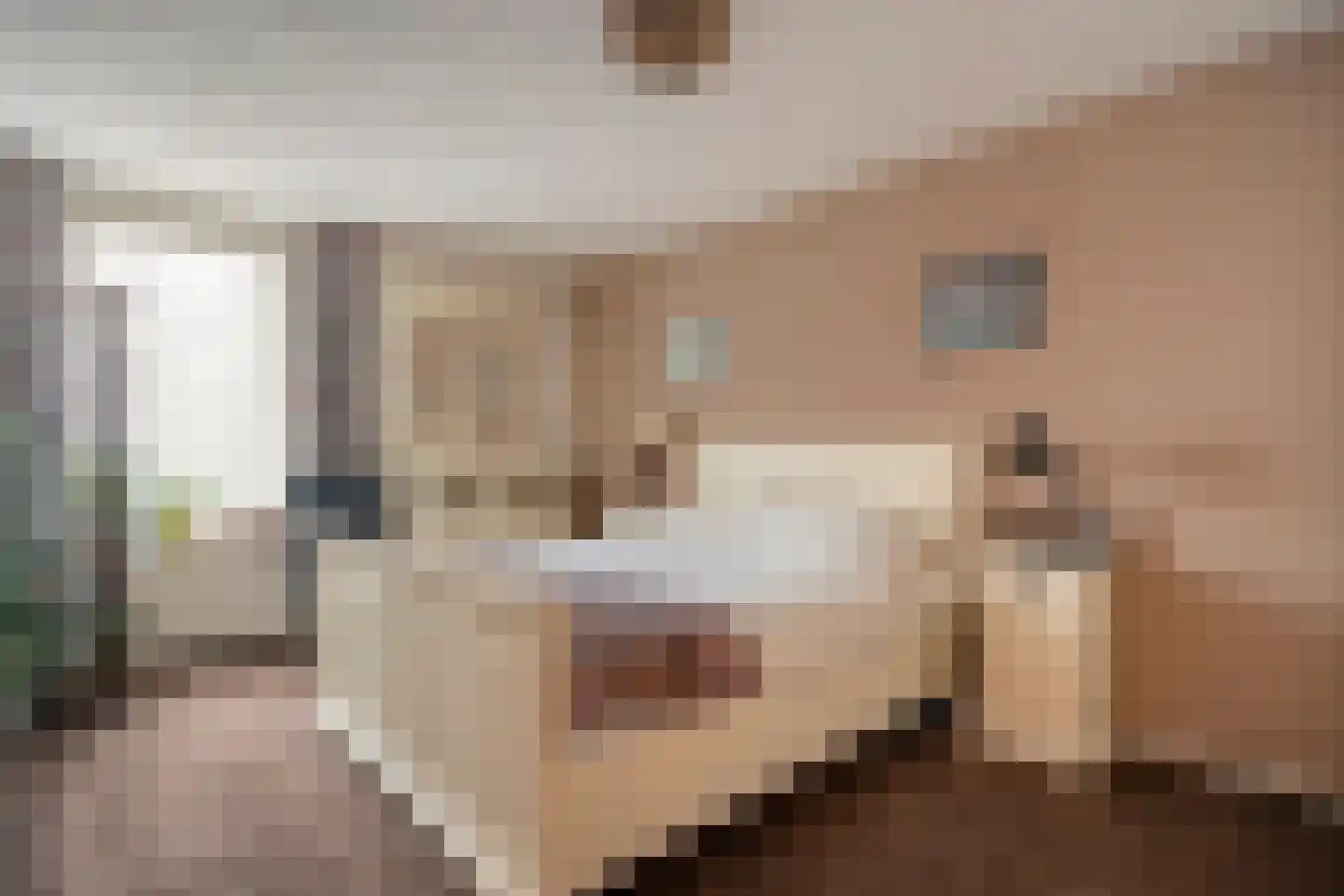 van Emstplein 9 Appelscha thumbnail 20