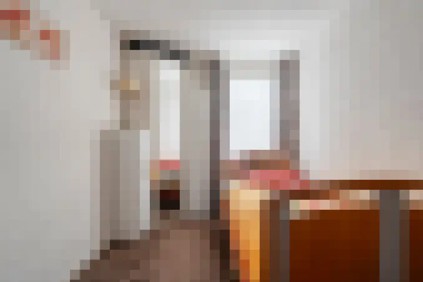 van Emstplein 9 Appelscha thumbnail 22