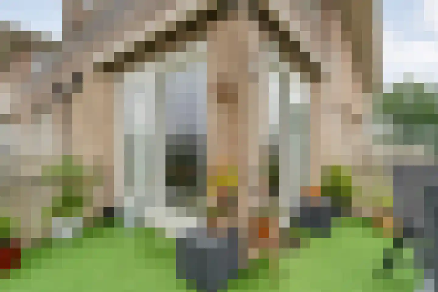 van Emstplein 9 Appelscha thumbnail 29