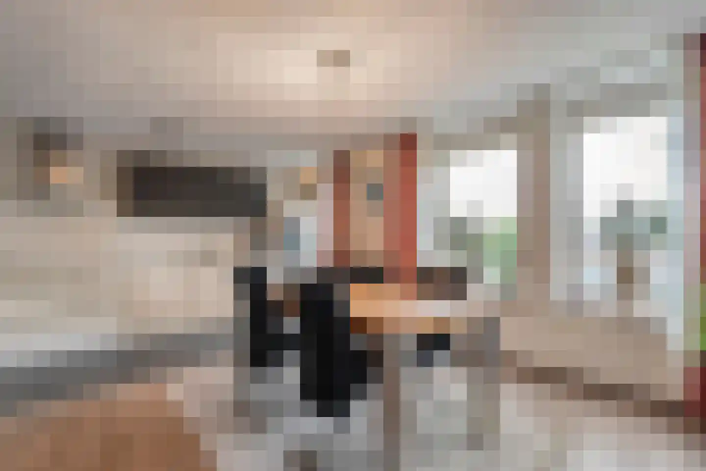 van Emstplein 9 Appelscha thumbnail 7
