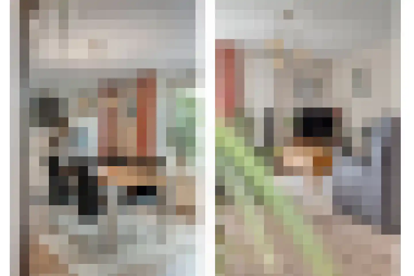 van Emstplein 9 Appelscha thumbnail 8