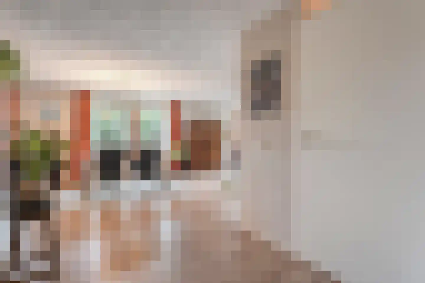van Emstplein 9 Appelscha thumbnail 9