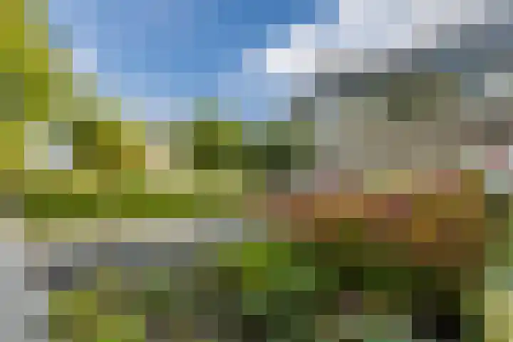 Van Emstweg 11 Appelscha thumbnail 32