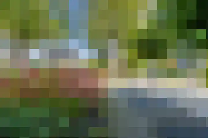 Van Emstweg 11 Appelscha thumbnail 34