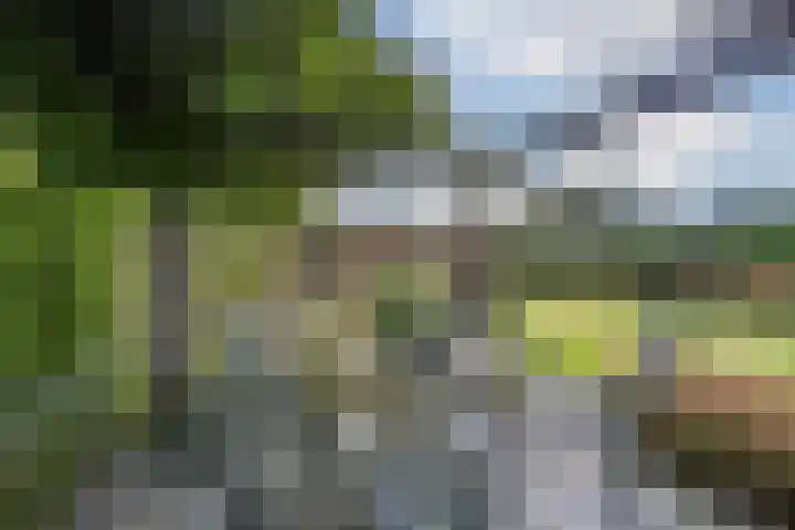Van Emstweg 11 Appelscha thumbnail 38