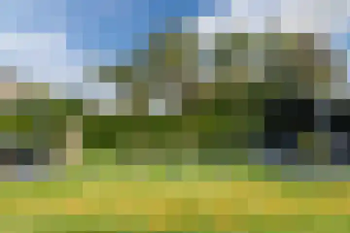 Van Emstweg 11 Appelscha thumbnail 39