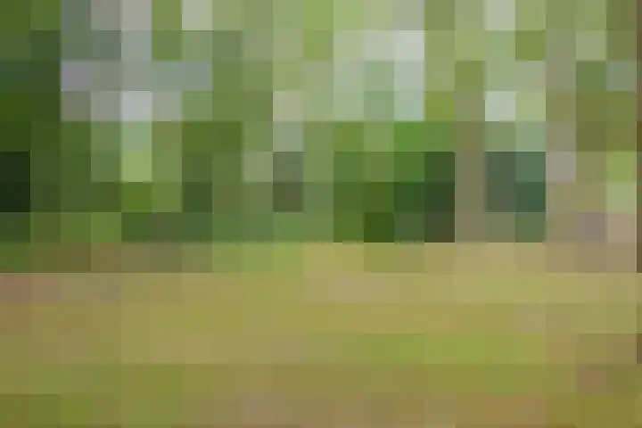 Van Emstweg 11 Appelscha thumbnail 42