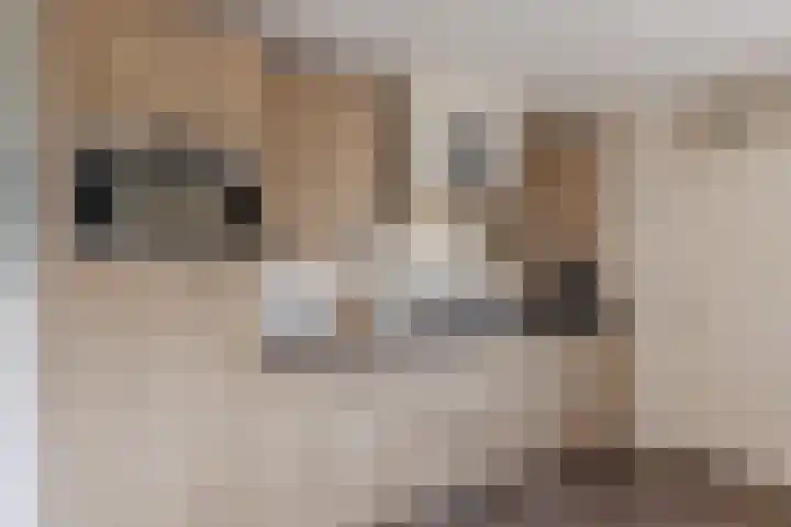 Van Emstweg 11 Appelscha thumbnail 9