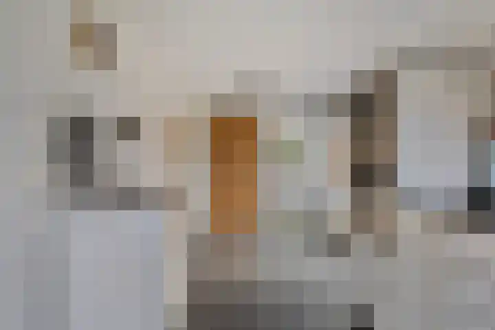 Van Emstweg 24 Appelscha thumbnail 14
