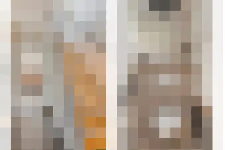 Van Emstweg 24 Appelscha thumbnail 19