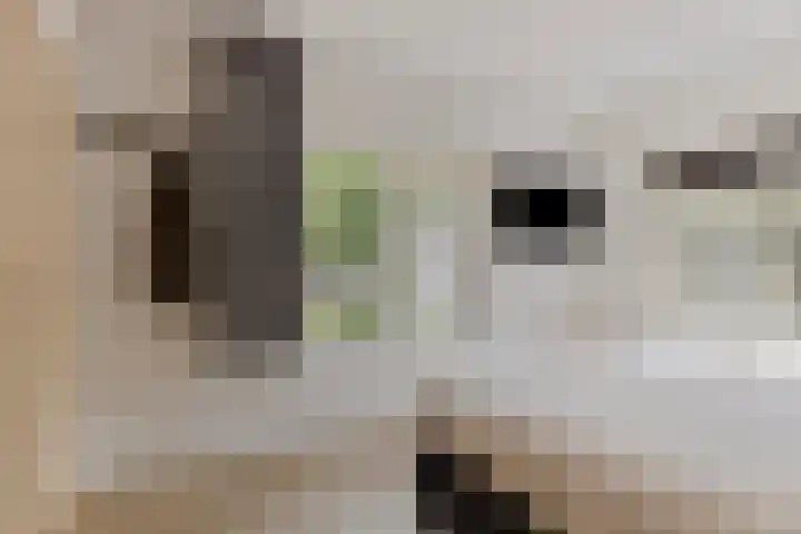 Van Emstweg 24 Appelscha thumbnail 22