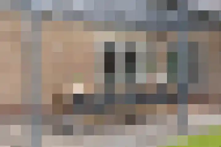 Van Emstweg 24 Appelscha thumbnail 29