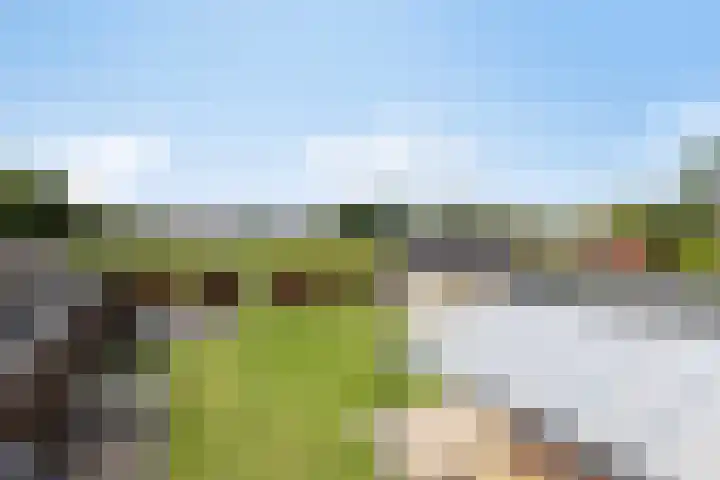 Van Emstweg 24 Appelscha thumbnail 31