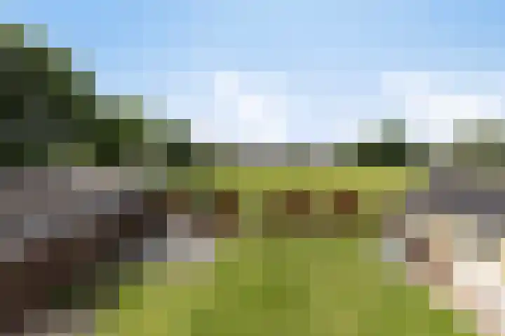 Van Emstweg 24 Appelscha thumbnail 36