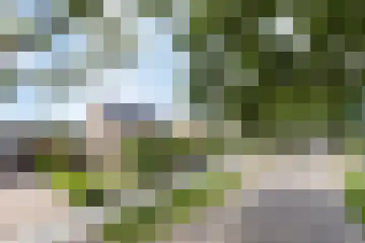 Van Emstweg 24 Appelscha thumbnail 40