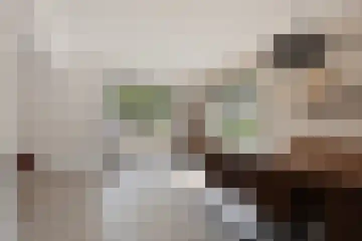 Van Emstweg 24 Appelscha thumbnail 6