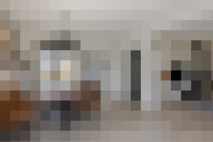 Van Emstweg 24 Appelscha thumbnail 7