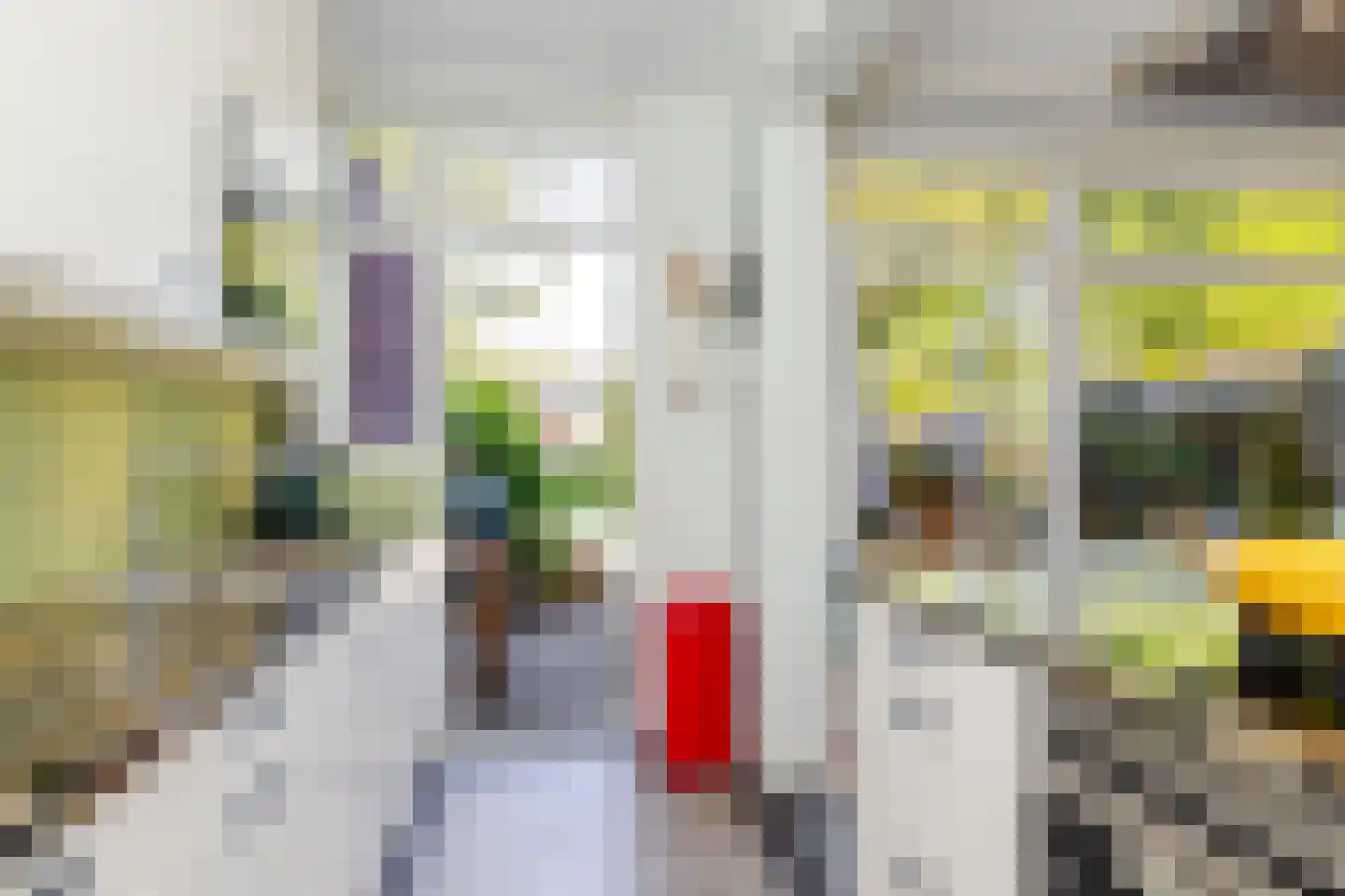 Van Enckevoirtlaan 113 Rotterdam thumbnail 18