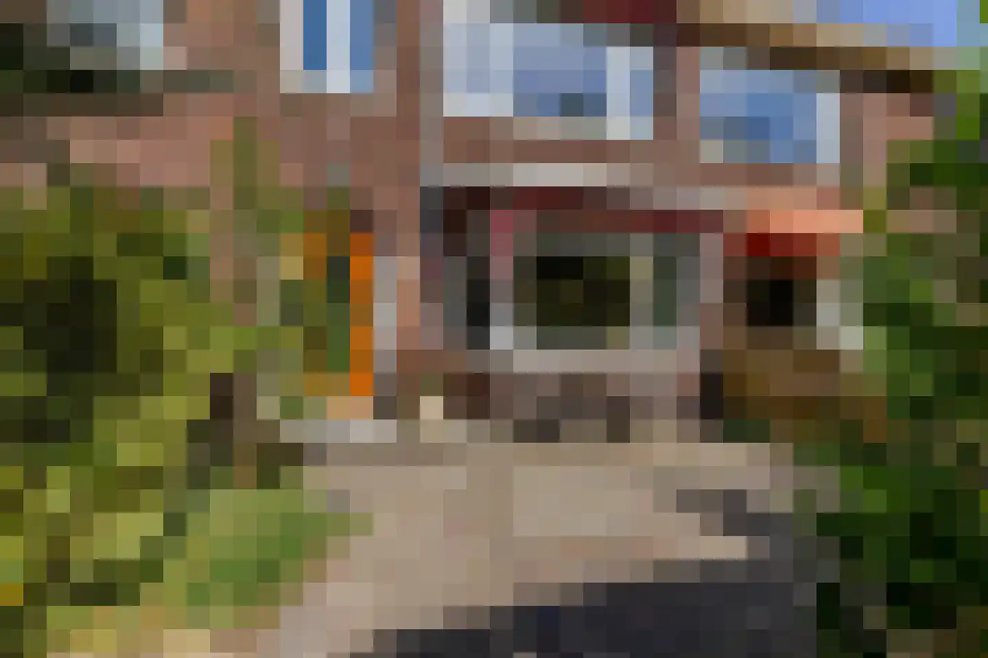 Van Enckevoirtlaan 113 Rotterdam thumbnail 52