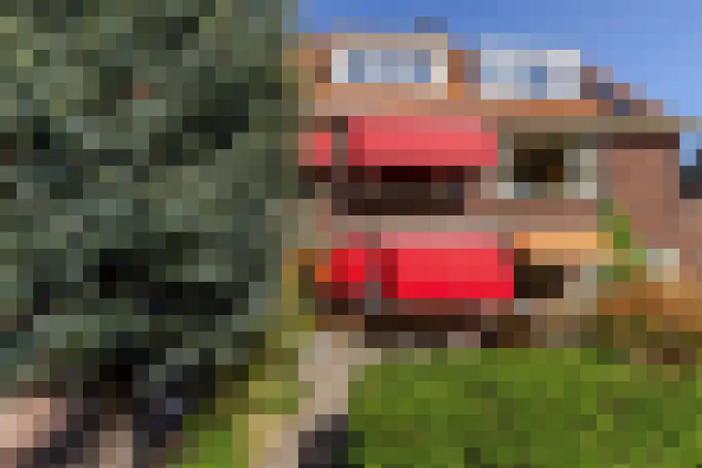 Van Enckevoirtlaan 113 Rotterdam thumbnail 55